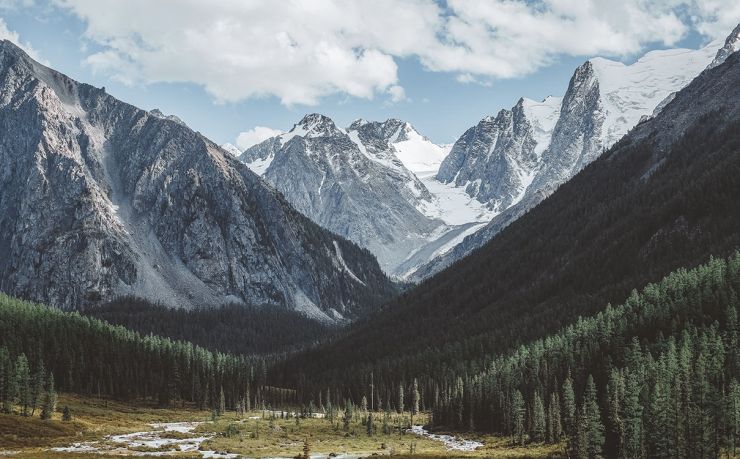移民阿根廷需要多少钱